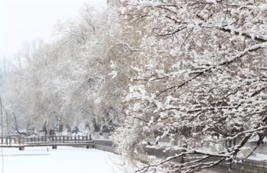 Tombe La Neige(눈이 내리네)